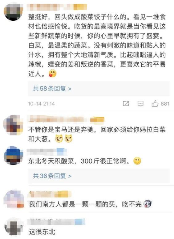 吓到了!东北大娘雇车囤300斤白菜,网友:这很东北