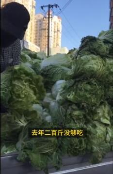 吓到了!东北大娘雇车囤300斤白菜,网友:这很东北