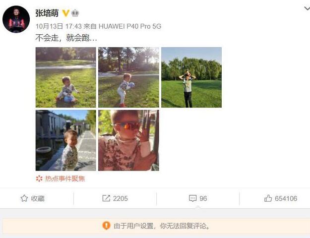 疑点重重!张培萌妻子称只想要女儿抚养权 张培萌发声否认出轨