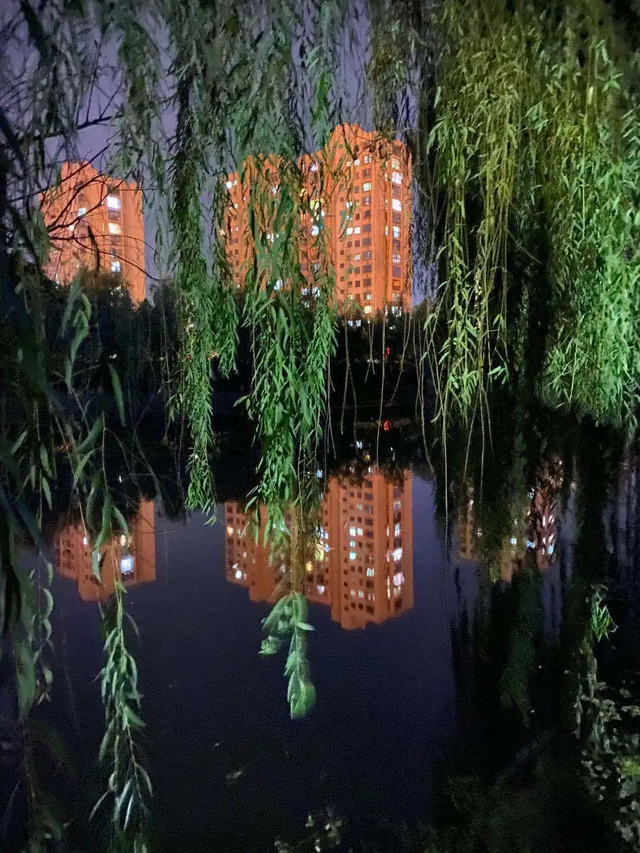 交警真的见死不救?男子酒后被查弃车跳河身亡 还原事件经过详情